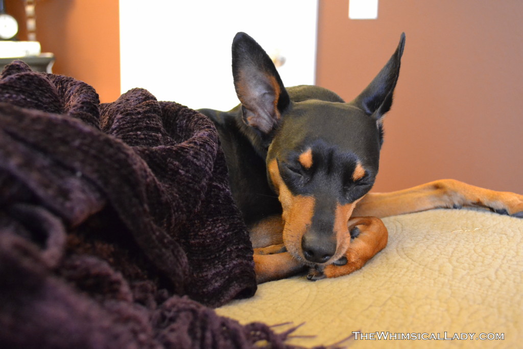 Master Bedroom Tour
